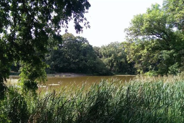 Sicher und erfolgreich in Mölkau vermieten mit Saxowert